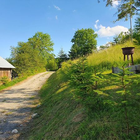 Cabana Valea Lui Mas Robaia ภายนอก รูปภาพ