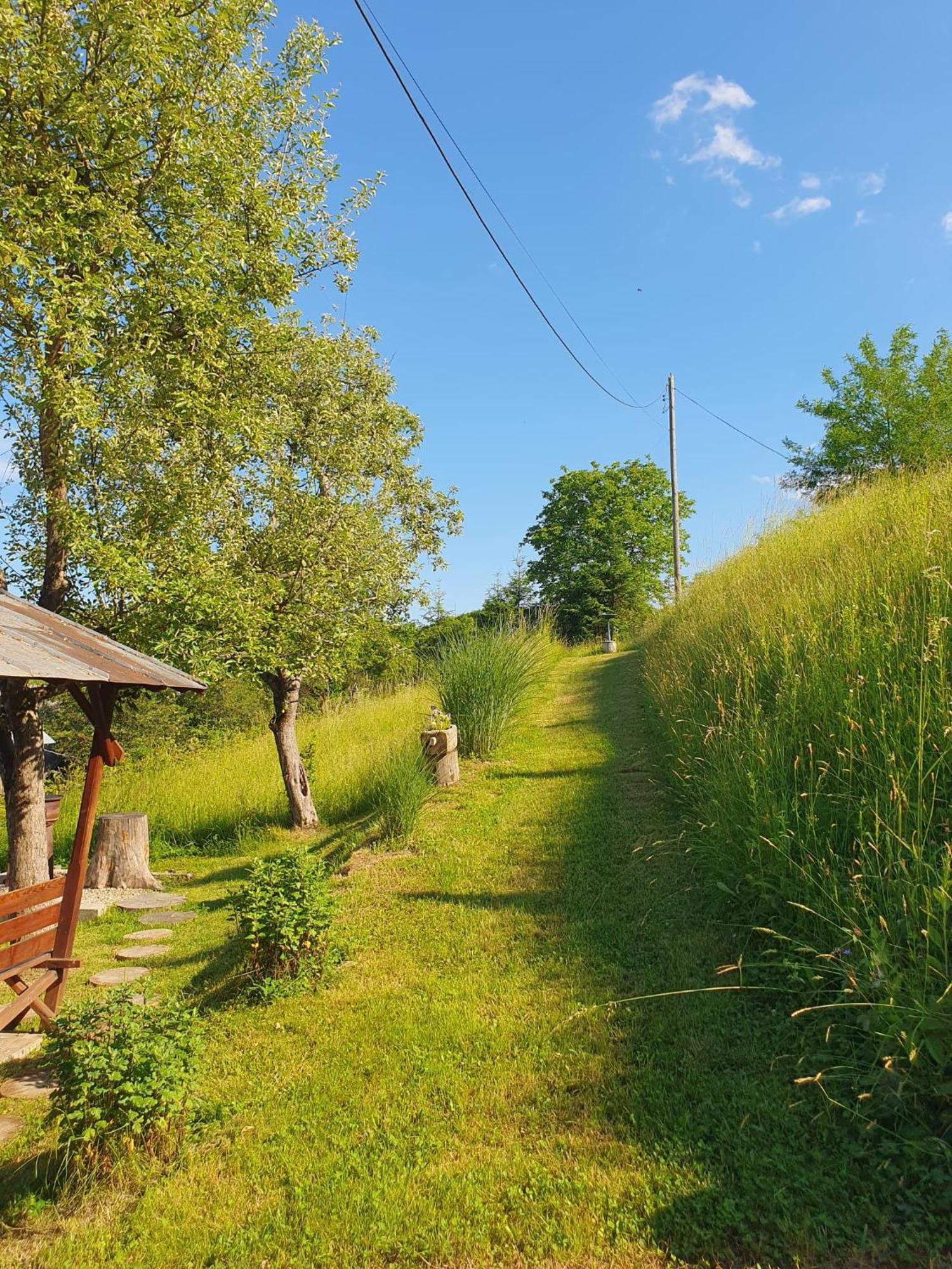 Cabana Valea Lui Mas Robaia ภายนอก รูปภาพ