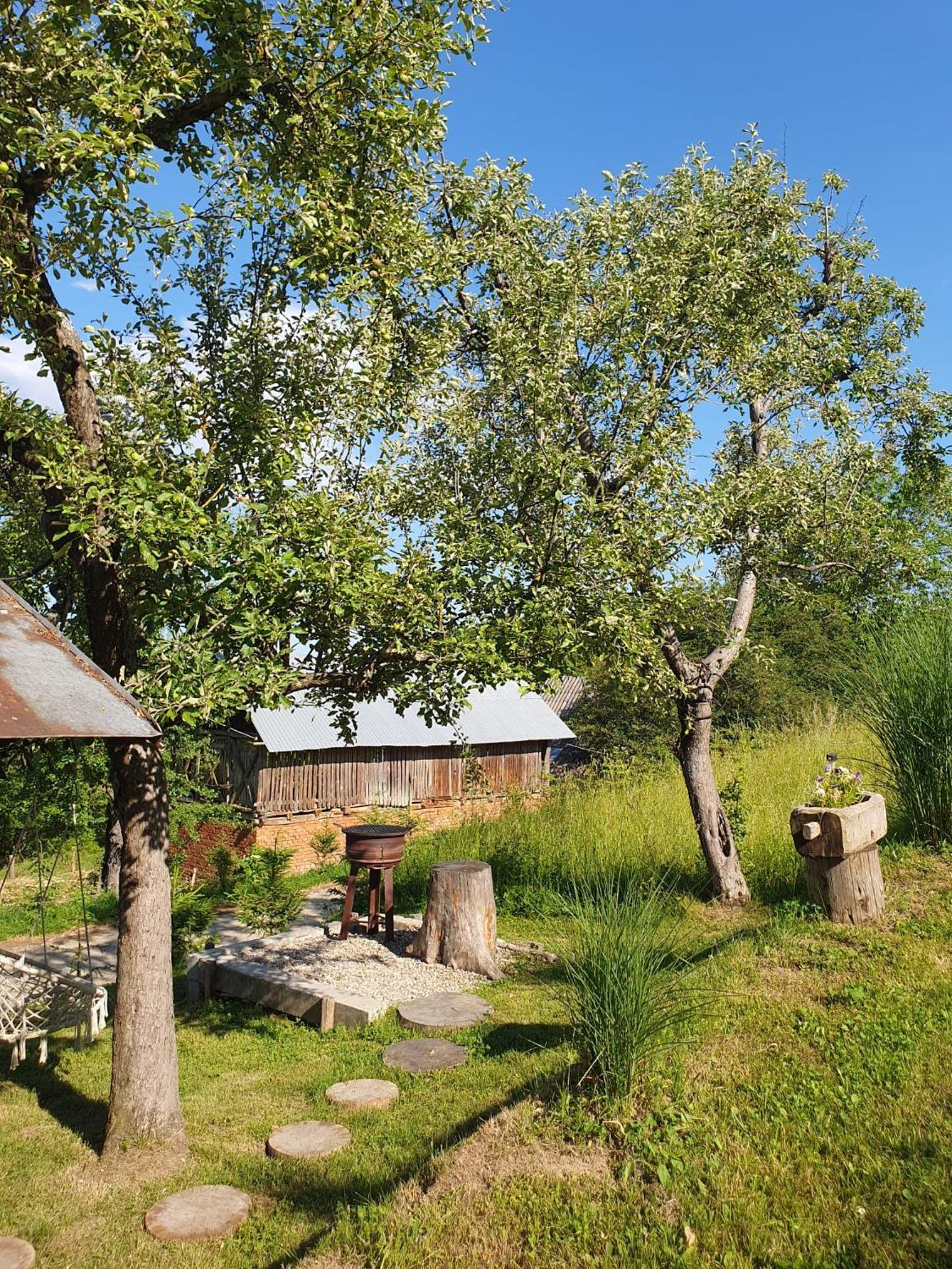 Cabana Valea Lui Mas Robaia ภายนอก รูปภาพ