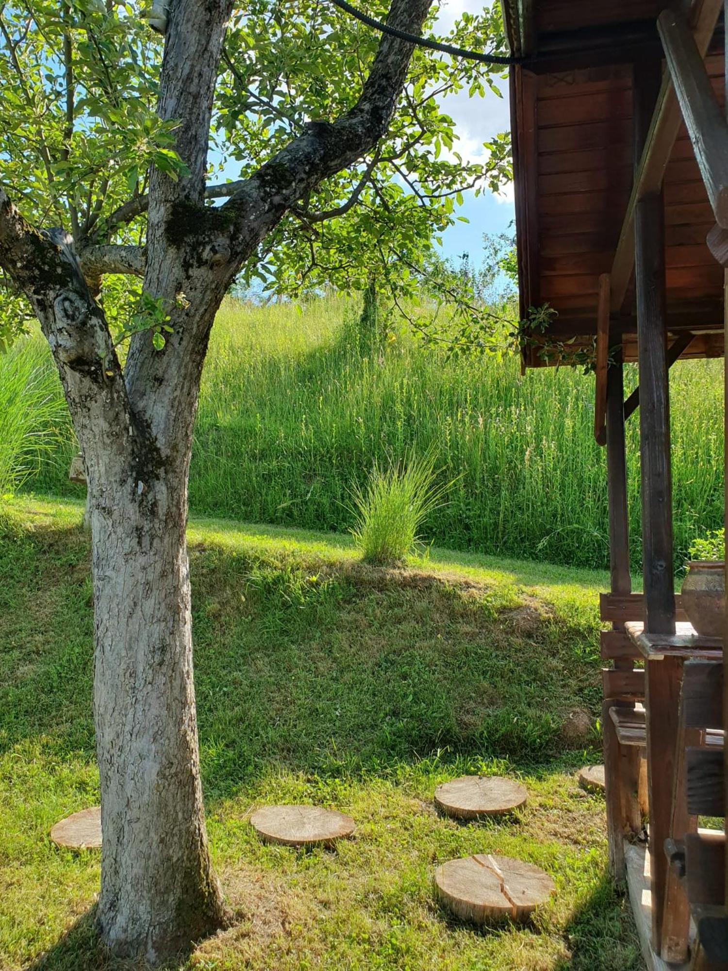 Cabana Valea Lui Mas Robaia ภายนอก รูปภาพ