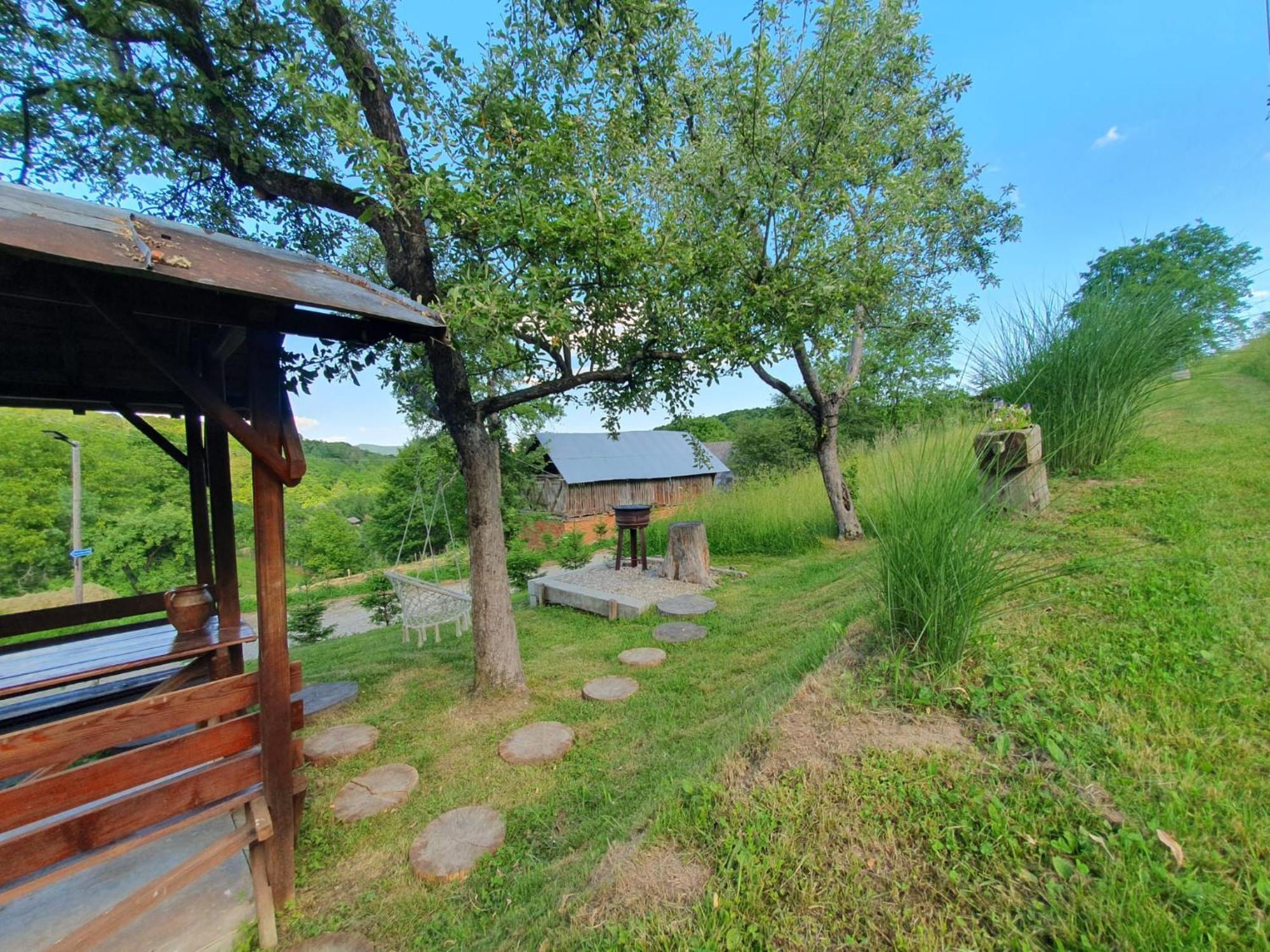Cabana Valea Lui Mas Robaia ภายนอก รูปภาพ