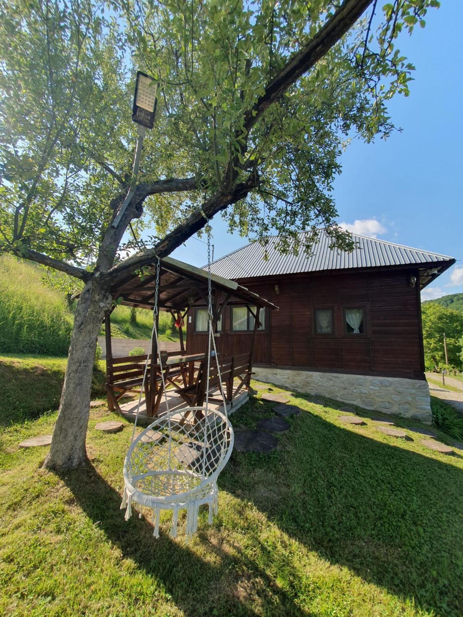 Cabana Valea Lui Mas Robaia ภายนอก รูปภาพ