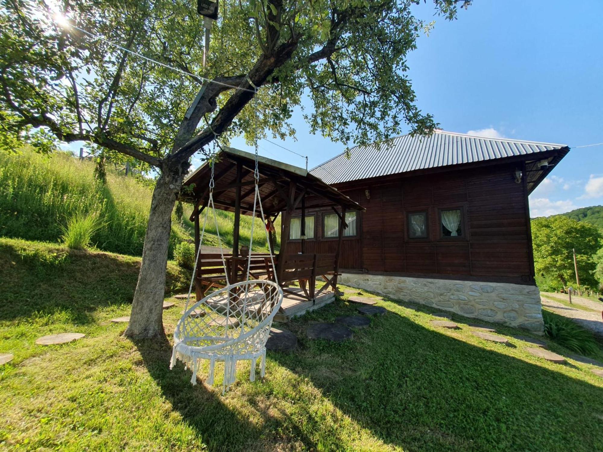 Cabana Valea Lui Mas Robaia ภายนอก รูปภาพ