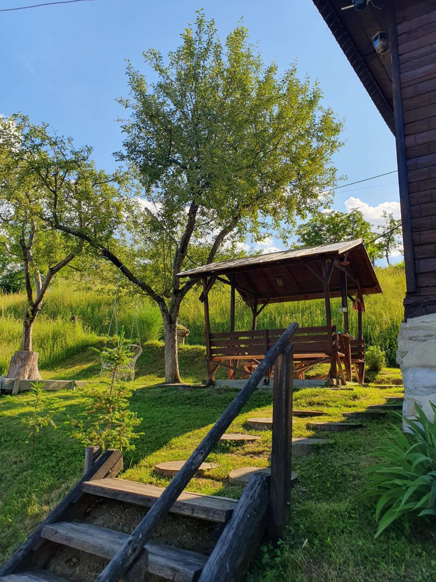 Cabana Valea Lui Mas Robaia ภายนอก รูปภาพ