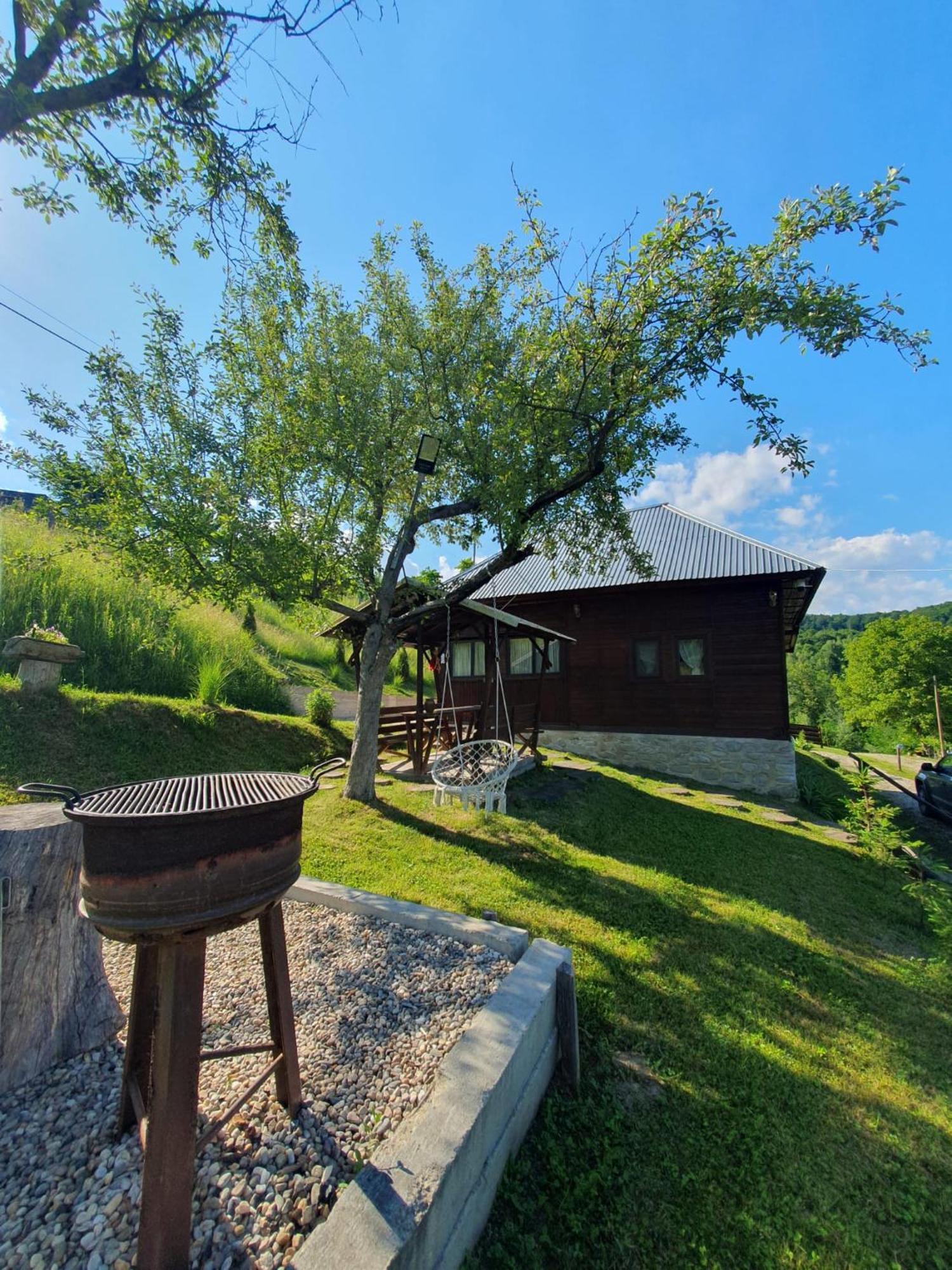 Cabana Valea Lui Mas Robaia ภายนอก รูปภาพ