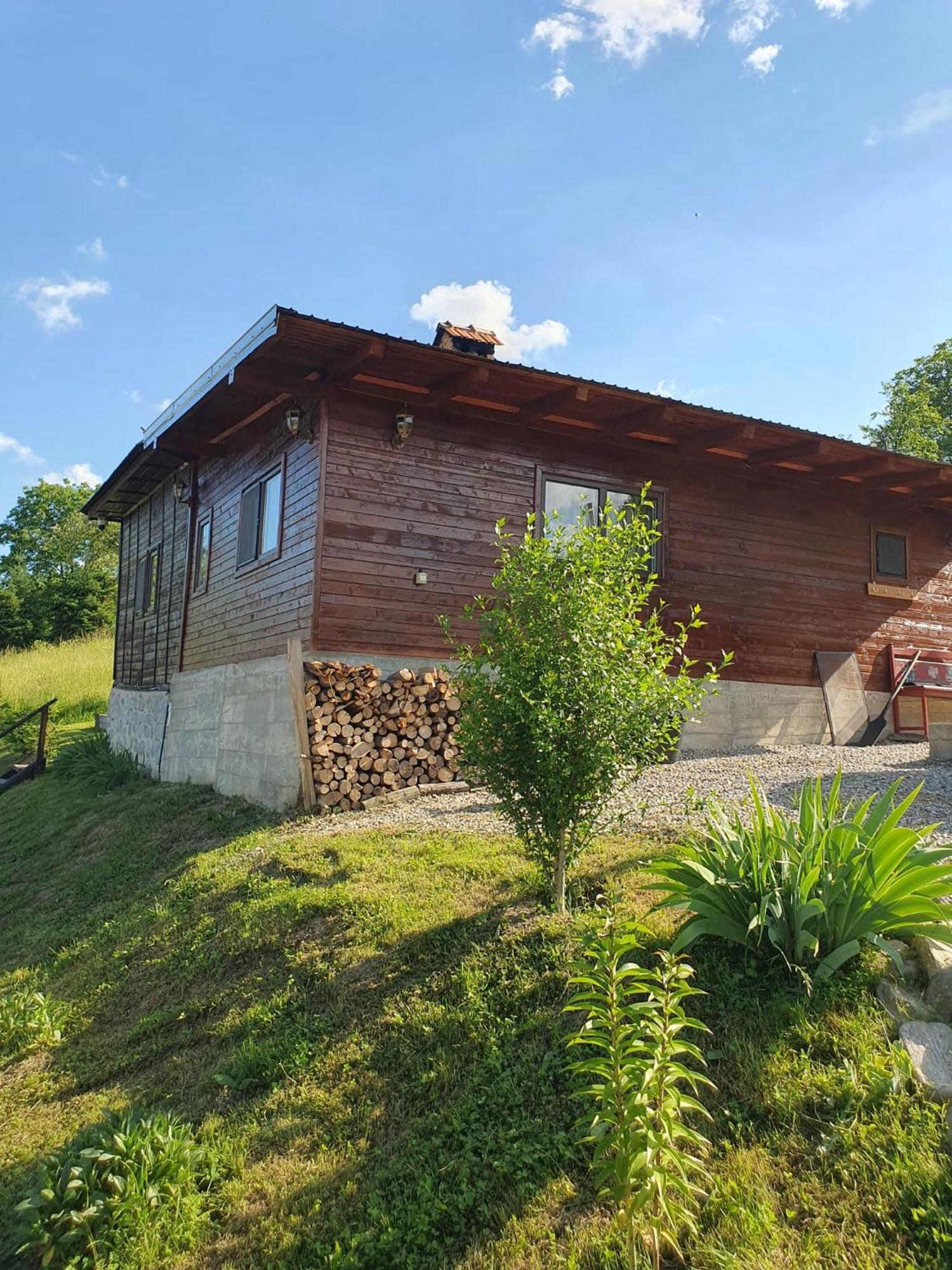 Cabana Valea Lui Mas Robaia ภายนอก รูปภาพ