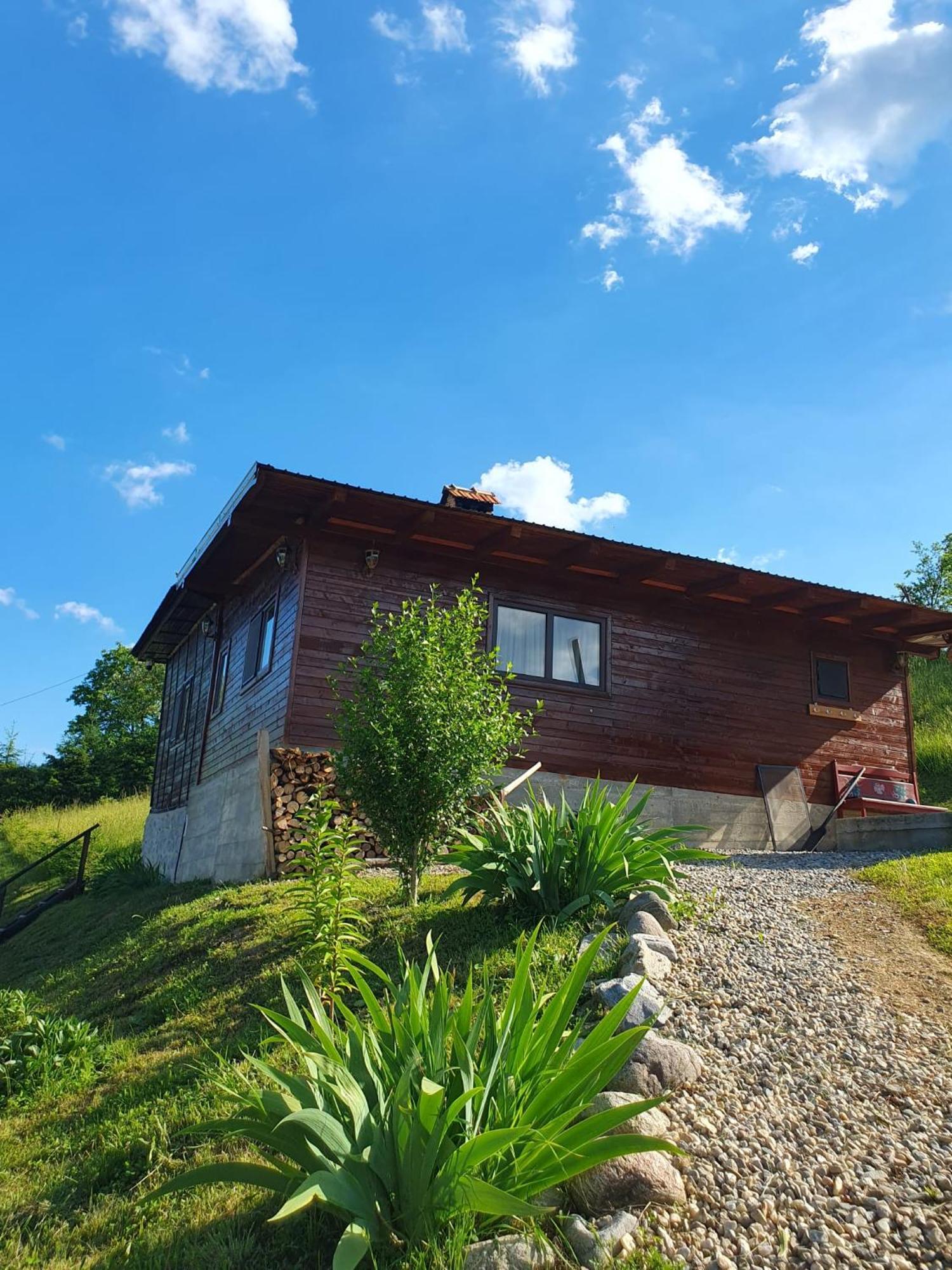 Cabana Valea Lui Mas Robaia ภายนอก รูปภาพ