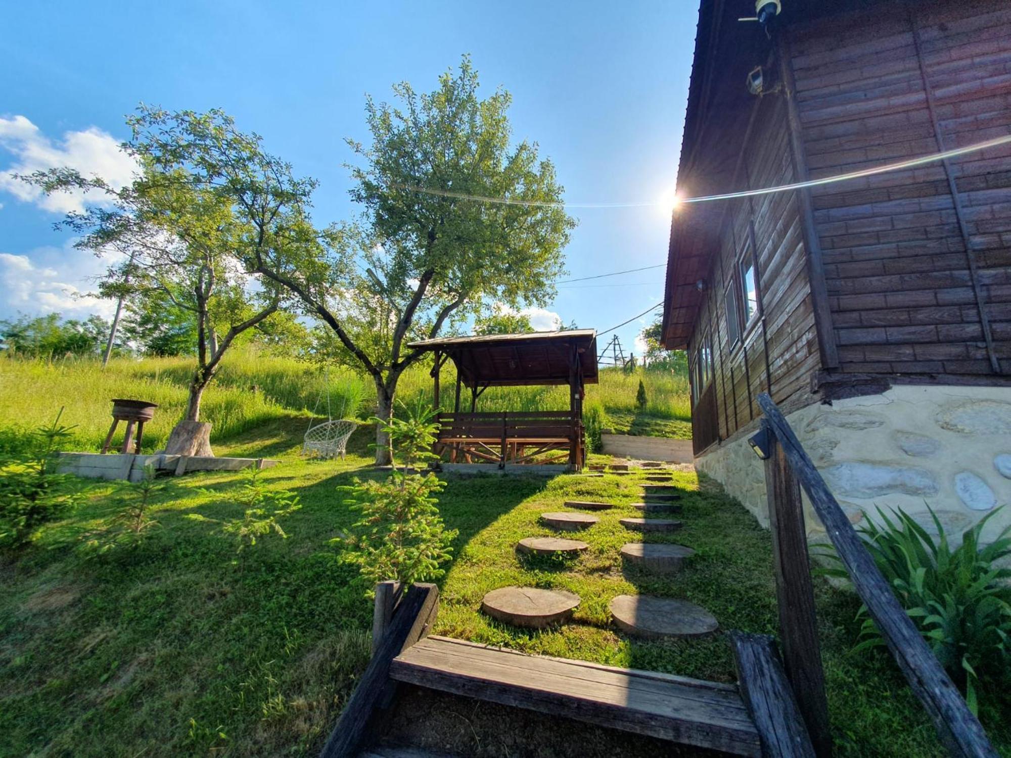 Cabana Valea Lui Mas Robaia ภายนอก รูปภาพ