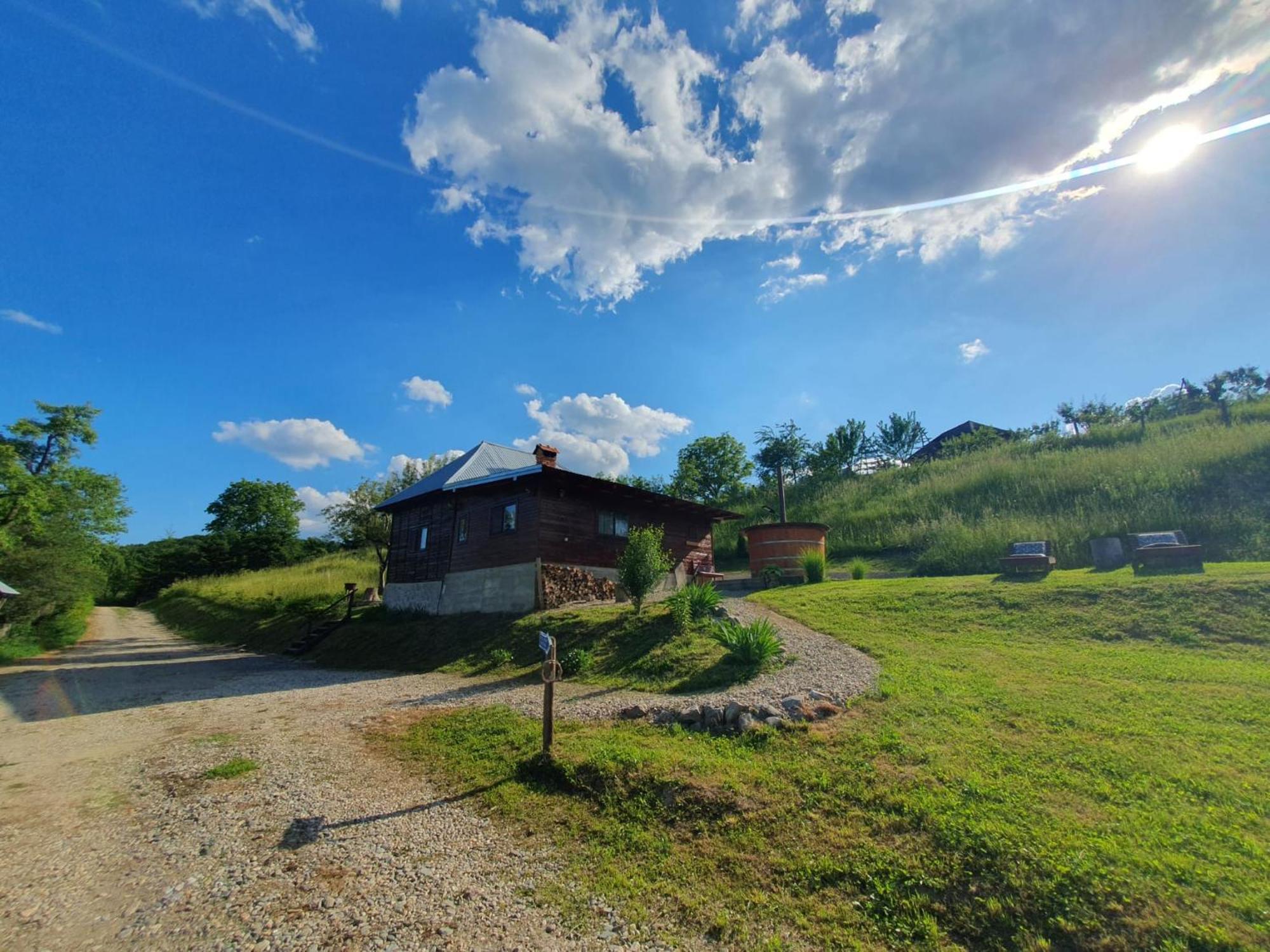 Cabana Valea Lui Mas Robaia ภายนอก รูปภาพ